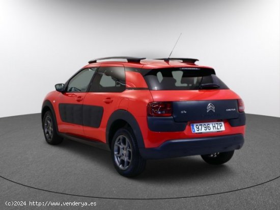 CITROEN C4 Cactus en venta en LalÃ­n (Pontevedra) - LalÃ­n