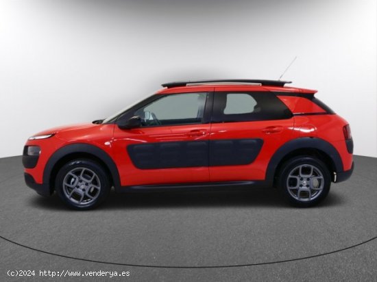 CITROEN C4 Cactus en venta en LalÃ­n (Pontevedra) - LalÃ­n