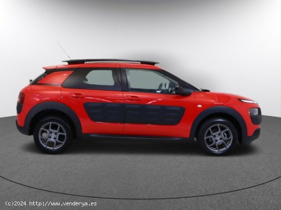 CITROEN C4 Cactus en venta en LalÃ­n (Pontevedra) - LalÃ­n