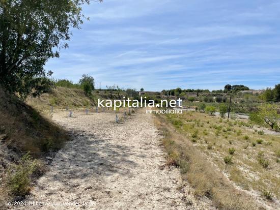 Terreno a la venta en zona El Palomar. - VALENCIA