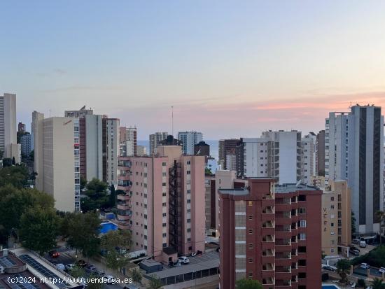  Estudio reformado en el Rincón de loix, con posibilidad de sacar 1 Dormitorio. - ALICANTE 