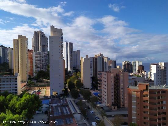 Reformado estudio en urbanización bonita en zona Rincon de Loix. - ALICANTE