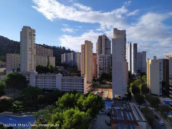 Reformado estudio en urbanización bonita en zona Rincon de Loix. - ALICANTE