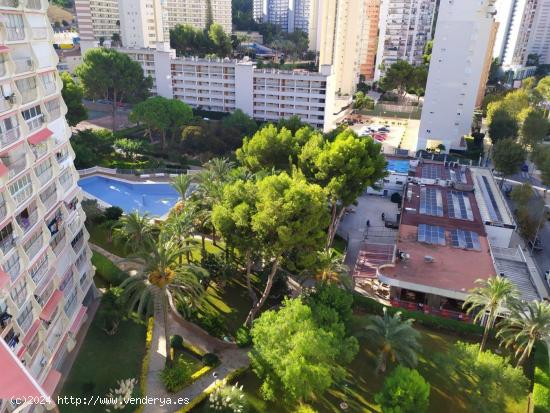 Reformado estudio en urbanización bonita en zona Rincon de Loix. - ALICANTE