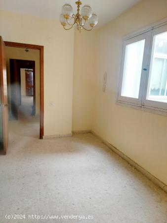 Maravillosa vivienda de 5 dormitorios y tres baños en el centro de Cádiz con ascensor. - CADIZ