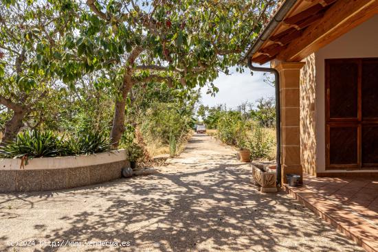 Casa o Chalet en Marratxí con piscina y jardín. - BALEARES