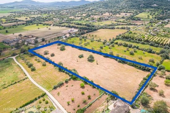 Solar Rustico Edificable de 14.504 m2 entre Son Negre y Son Carrio - BALEARES