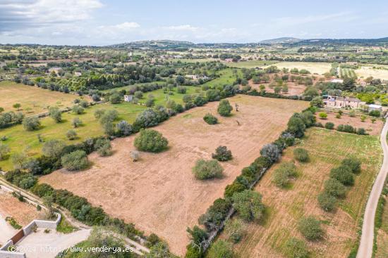 Solar Rustico Edificable de 14.504 m2 entre Son Negre y Son Carrio - BALEARES