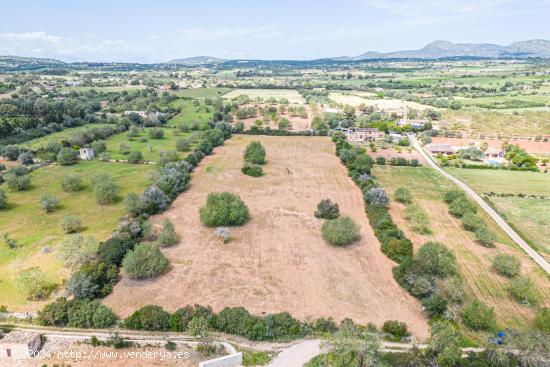 Solar Rustico Edificable de 14.504 m2 entre Son Negre y Son Carrio - BALEARES