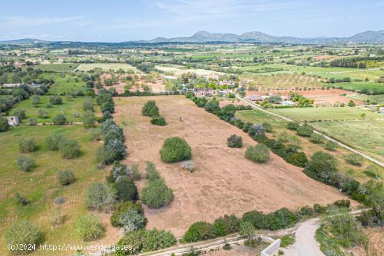 Solar Rustico Edificable de 14.504 m2 entre Son Negre y Son Carrio - BALEARES