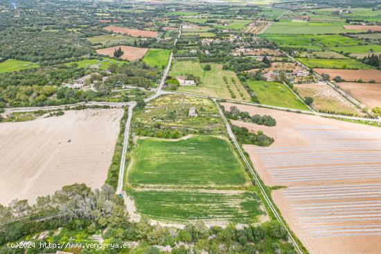 Solar Rustico Urbanizable de 15243 m2 en Manacor - BALEARES