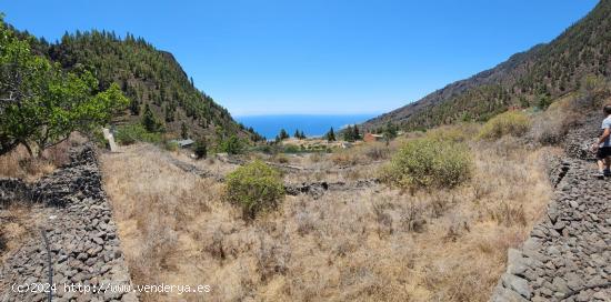 TINERCASA VENDE EN LOS CAMPOS! - SANTA CRUZ DE TENERIFE