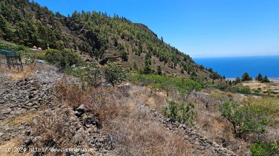 TINERCASA VENDE EN LOS CAMPOS! - SANTA CRUZ DE TENERIFE