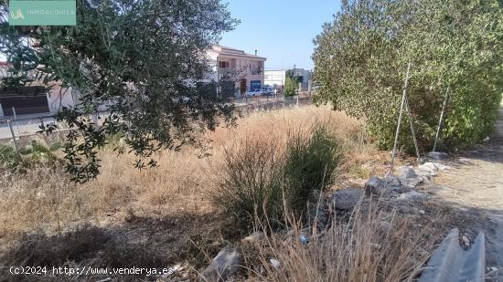 SOLAR URBANO EN LLOSETA - BALEARES