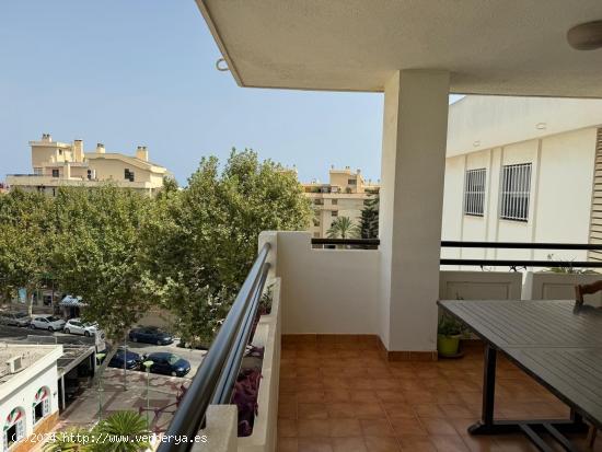  Disponible de octubre a junio !!  Piso en la Carihuela. - MALAGA 