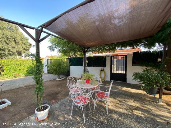 Chalet en la Arboleda Pioz (Guadalajara) - GUADALAJARA