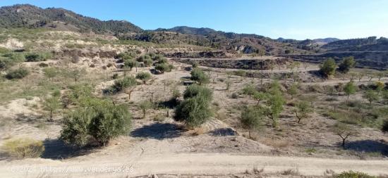 Terreno en  cart  EL PUNTARRON,  Aguaderas. - MURCIA