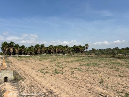  Magnifico Terreno en Venta en el Derramador - ALICANTE 