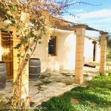 Se vende finca en sencelles con 21.000 metros de terreno y casa principal y de invitados - BALEARES