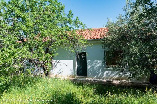 FINCA RÚSTICA EN FUENTE LOBO, CARRETERA DE LA SIERRA - GRANADA