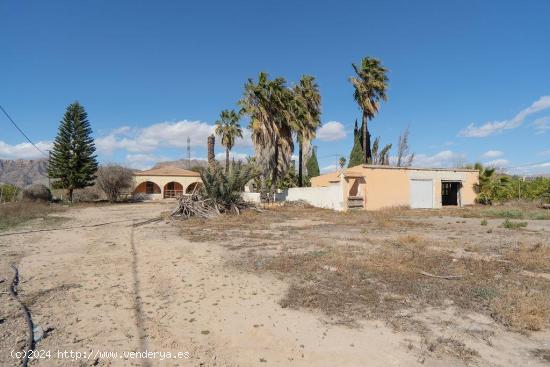 Chalet independiente en Orihuela - ALICANTE