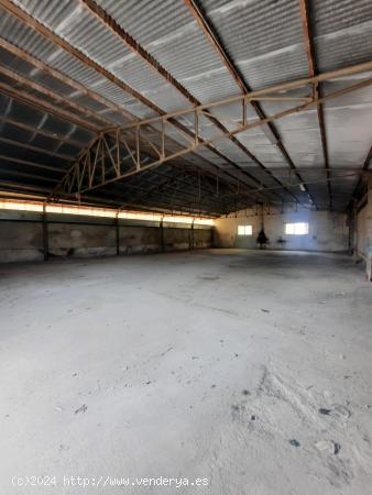 ALQUILER DE NAVE DIÁFANA Y CON PATIO AMPLIO, PRÓXIMO A LORCA, ZONA PULGARA - MURCIA