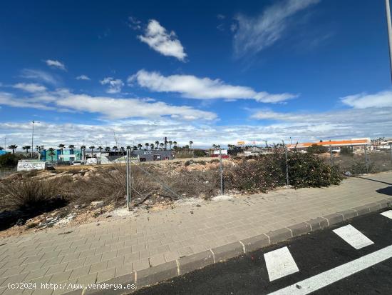 SE ALQUILA PARCELA COMERCIAL DE 1000 MTS2, EN AVENIDA CORTES VALENCIANAS ( TORREVIEJA ) - ALICANTE