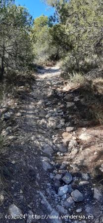 Terreno rural con vivienda para reformar en Puerto Lumbreras, Cabezo de la Jara - MURCIA