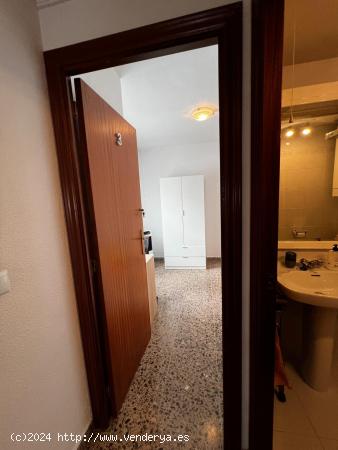 Alicante, Tu nuevo hogar, un coliving excepcional - ALICANTE