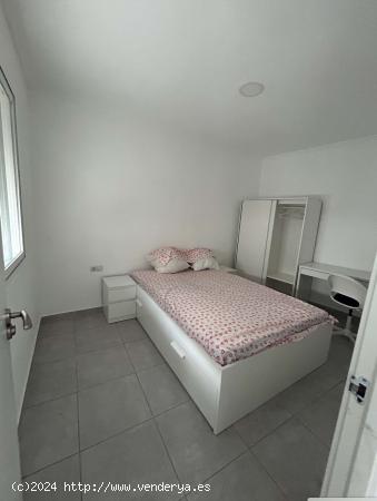  Habitación en piso compartido en Alicante (Alacant) - ALICANTE 