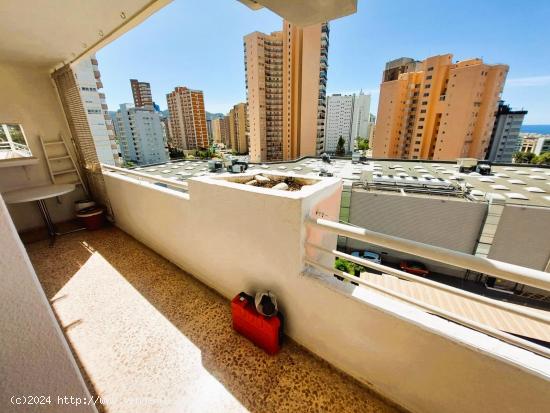 PISO CON AMPLIA TERRAZA CON VISTAS A LA ISLA DE BENIDORM, PARKING NUMERADO Y PISCINA!!! - ALICANTE