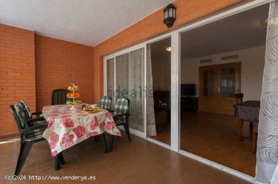 DUPLEX EN ALQUILER, ZONA BABEL. - ALICANTE