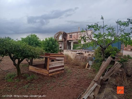 FINCA RUSTICA CON CASA EN VENTA EN MASDENVERGE (TARRAGONA) - TARRAGONA