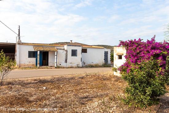 Almacen agricola de 1904 m2 y terreno de 3917 m2. A tan solo 2 km del centro! - TARRAGONA