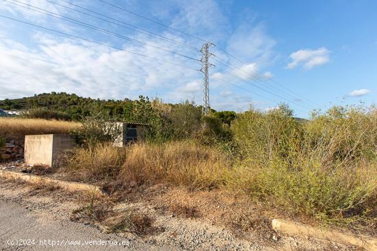 Finca rustica de regadio a tan solo 3 km de la poblacion. - TARRAGONA