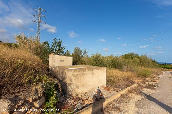 Finca rustica de regadio a tan solo 3 km de la poblacion. - TARRAGONA