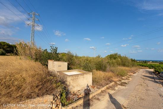 Finca rustica de regadio a tan solo 3 km de la poblacion. - TARRAGONA