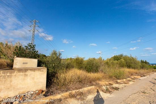 Finca rustica de regadio a tan solo 3 km de la poblacion. - TARRAGONA