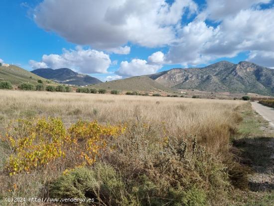 SE VENDE PARCELA EN CAÑADA DE LA LEÑA (ALGUEÑA) ALICANTE - MURCIA