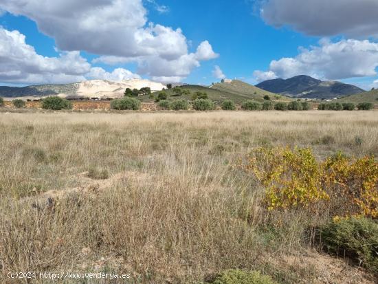 SE VENDE PARCELA EN CAÑADA DE LA LEÑA (ALGUEÑA) ALICANTE - MURCIA