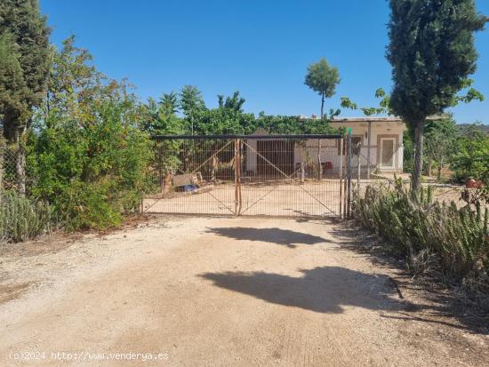 SE VENDE CASA CON TERREN EN CAÑADA DE LA LEÑA (ALGUEÑA) ALICANTE - MURCIA