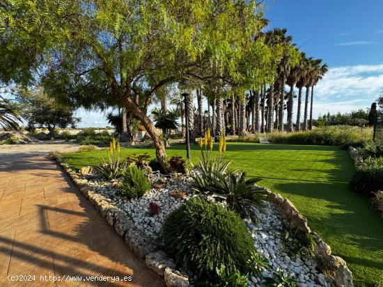 Espectacular Finca Rústica en Es Pil·larí - BALEARES