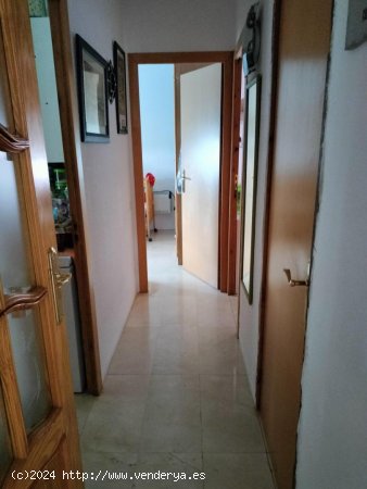 Unifamiliar aislada en venta  en Bisbal del Peneds, La - Tarragona