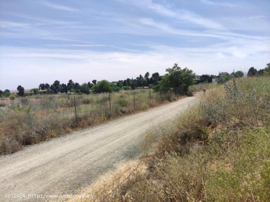 FINCA RUSTICA DE RECREO EN OLIAS DEL REY