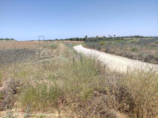 FINCA RUSTICA DE RECREO EN OLIAS DEL REY