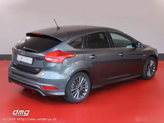 Ford Focus 1.0 Ecoboost SS 92kW 125CV STLine 5p. - Rubí