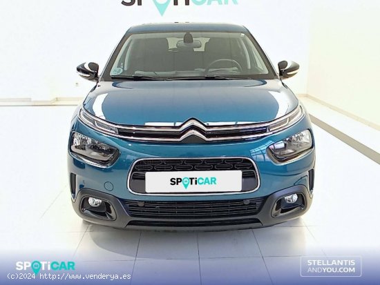 Citroën C4 Cactus  PureTech 81KW (110CV) S&S Shine - Ourense