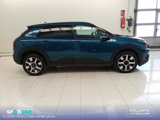 Citroën C4 Cactus  PureTech 81KW (110CV) S&S Shine - Ourense