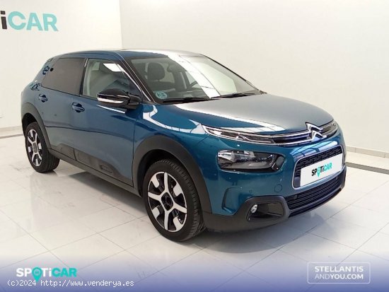 Citroën C4 Cactus  PureTech 81KW (110CV) S&S Shine - Ourense