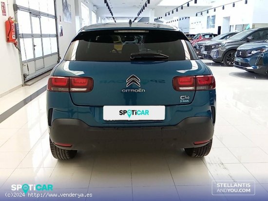 Citroën C4 Cactus  PureTech 81KW (110CV) S&S Shine - Ourense